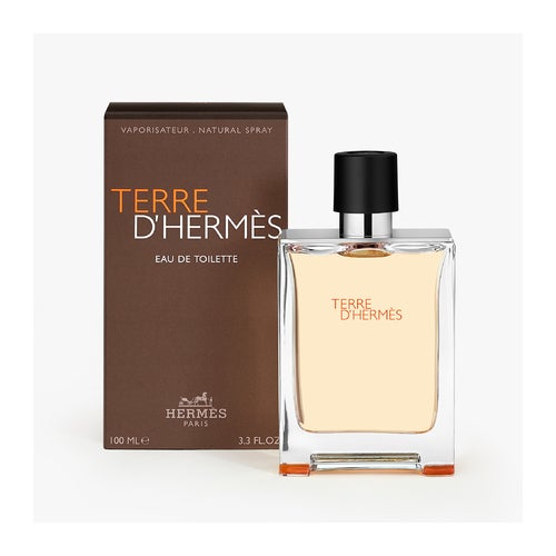 Hermès Terre D'Hermès Eau de Toilette 100 ml