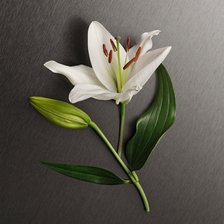 Calvin Klein Eternity For Women