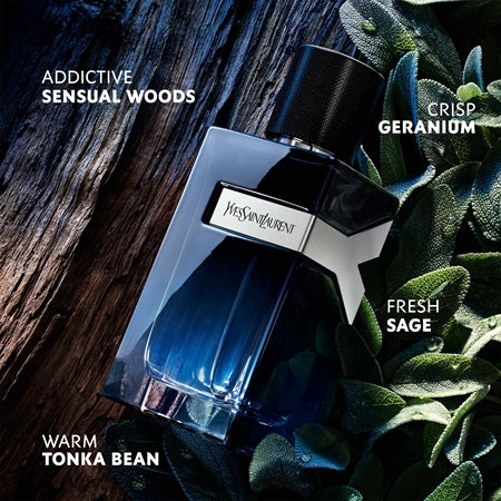 Yves Saint Laurent Y