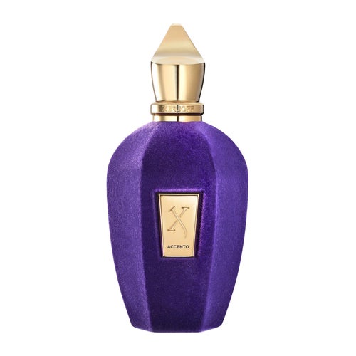 Xerjoff V Accento Eau de Parfum 100 ml