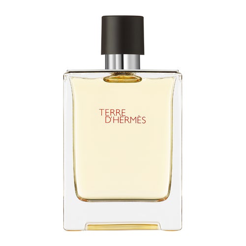 Hermès Terre D'Hermès Eau de Toilette 100 ml