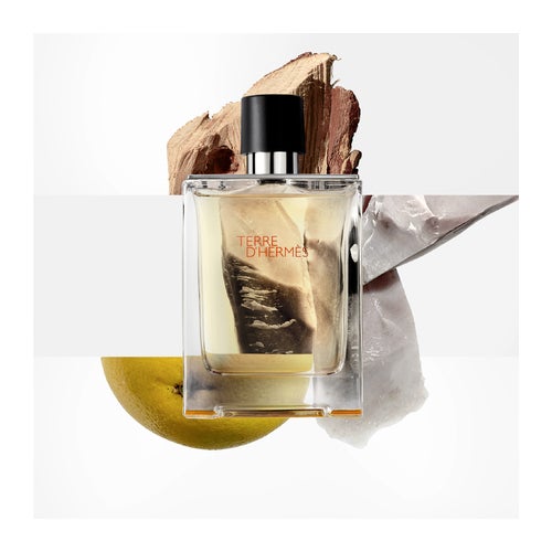 Hermès Terre D'Hermès Eau de Toilette 100 ml