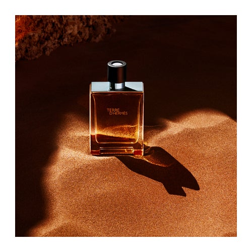Hermès Terre D'Hermès Eau de Toilette 100 ml