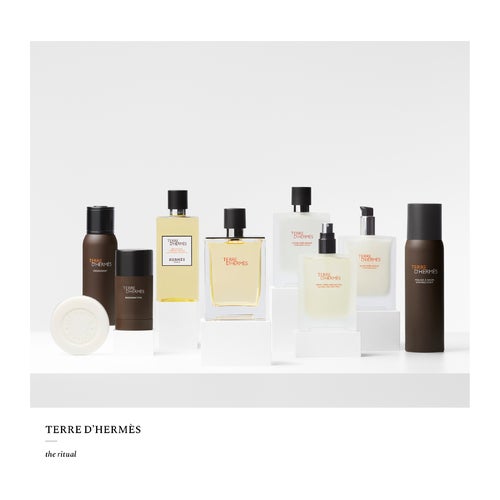 Hermès Terre D'Hermès Eau de Toilette 100 ml