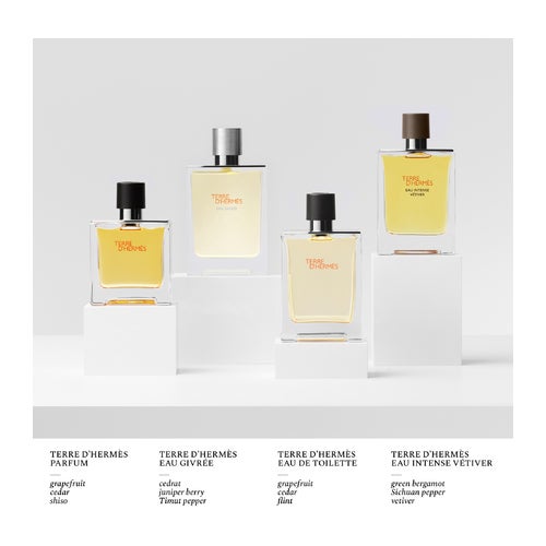 Hermès Terre D'Hermès Eau de Toilette 100 ml
