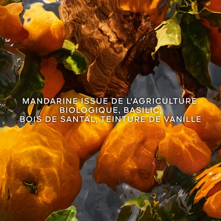 GUERLAIN Aqua Allegoria Mandarine Basilic Forte