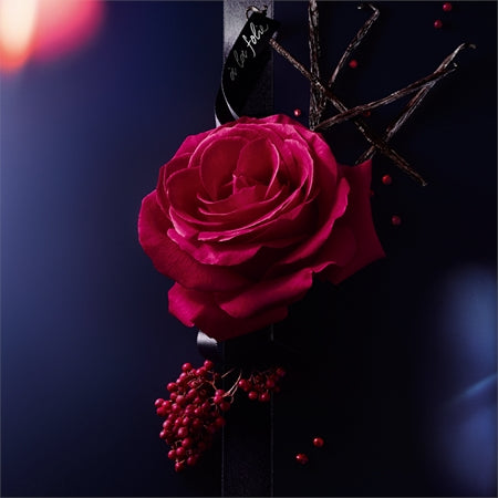 Lancôme La Nuit Trésor À La Folie