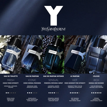 Yves Saint Laurent Y
